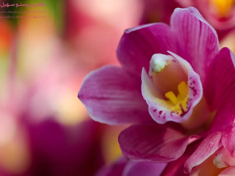 لابیاپلاستی در دختران باکره