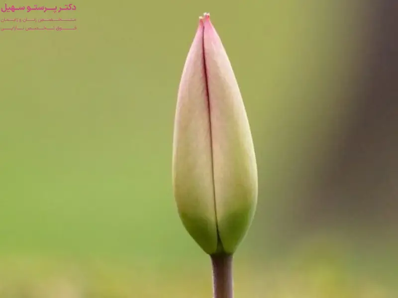 لابیاپلاستی همزمان با تنگ کردن واژن