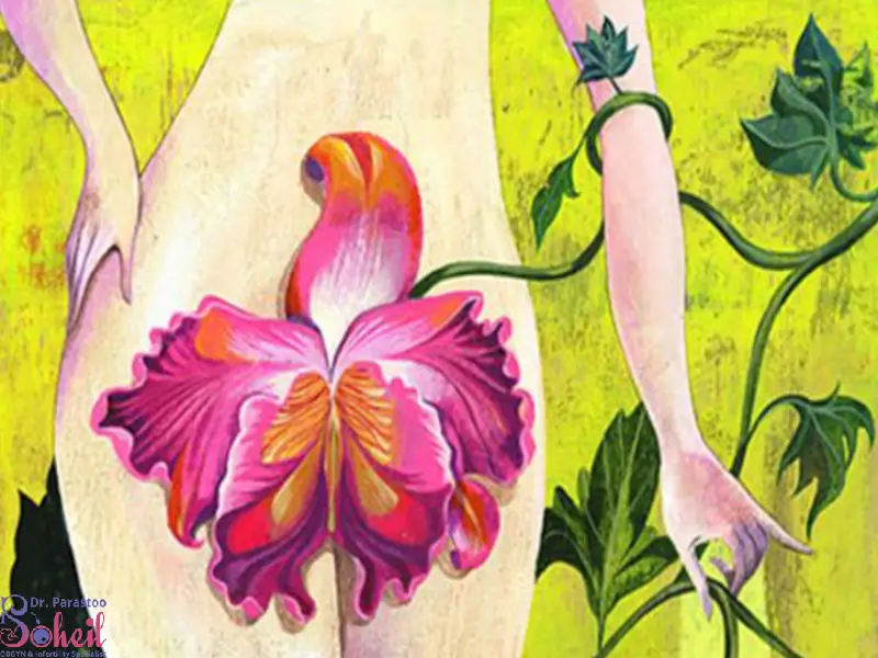 سن مناسب لابیاپلاستی