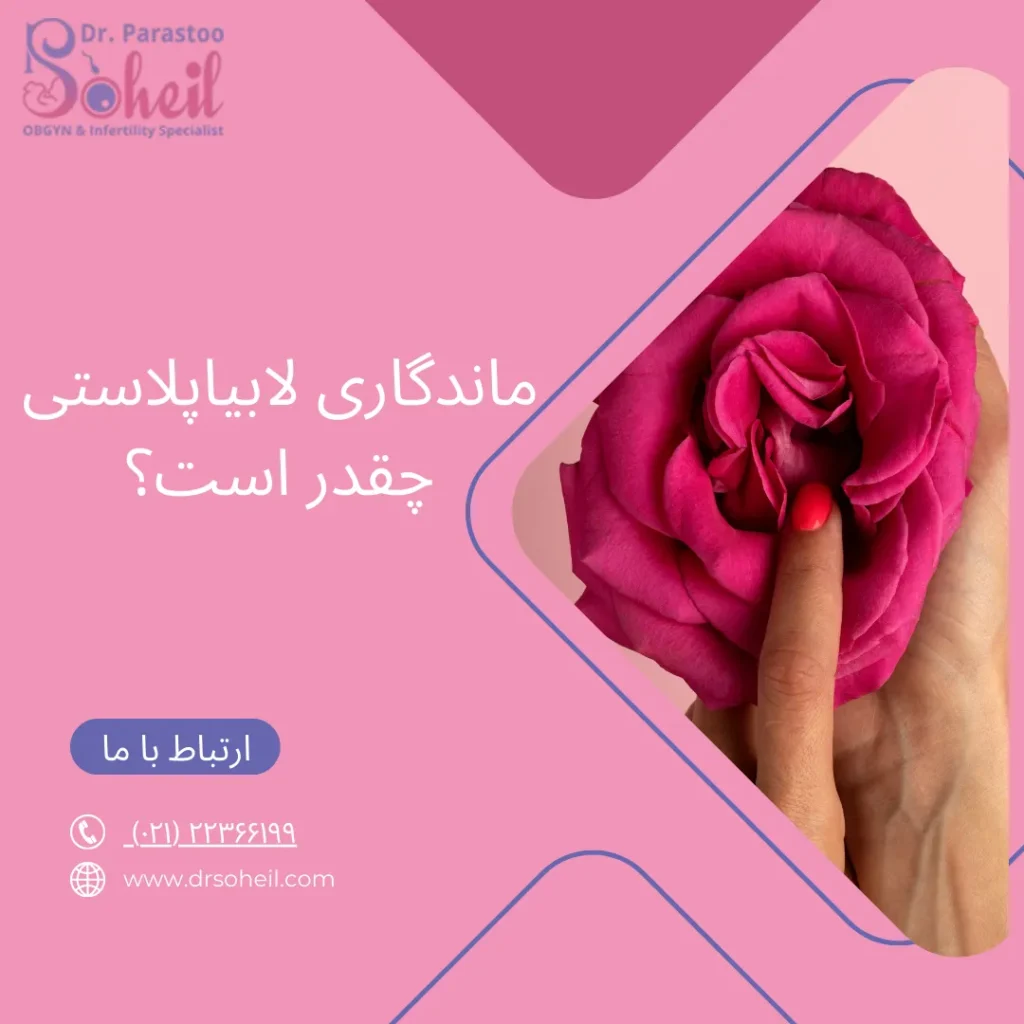 ماندگاری لابیاپلاستی