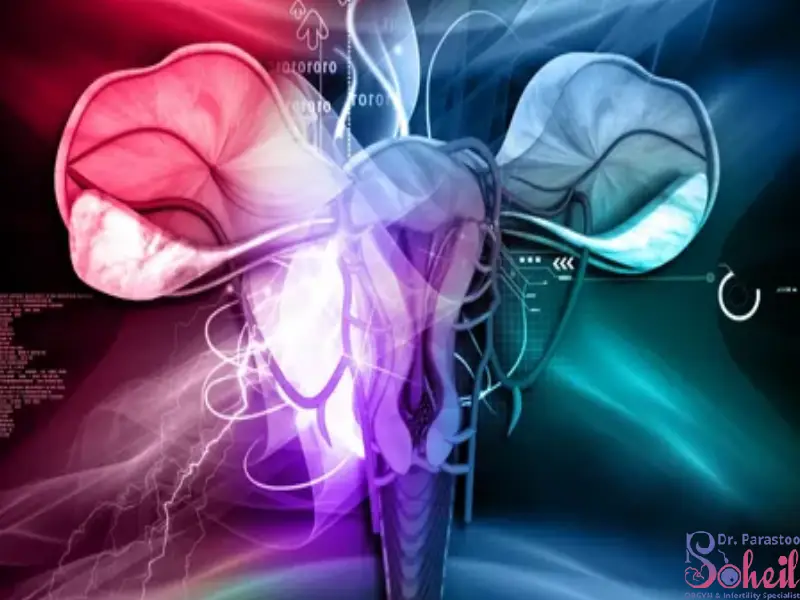 بارداری و آندومترریوز