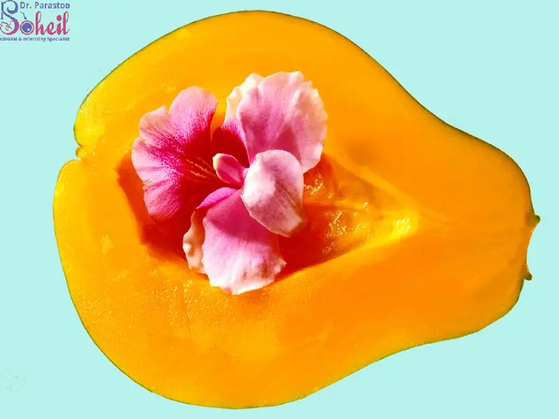 رابطه جنسی بعد از لابیاپلاستی